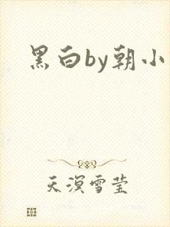 黑白by朝小诚