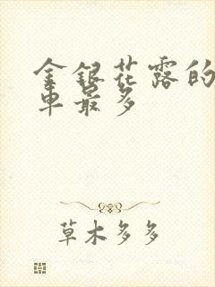 金银花露的哪个车最多