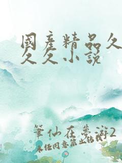 国产精品久久久久久小说