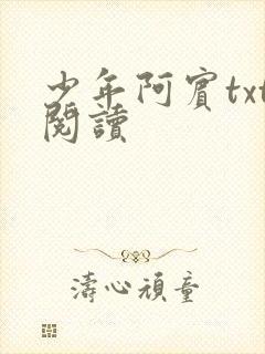 少年阿宾txt阅读