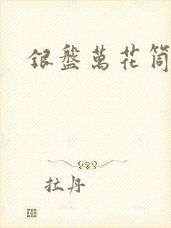 银盘万花筒小说