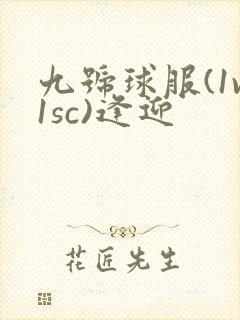 九号球服(1v1sc)逢迎