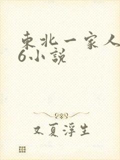 东北一家人1一6小说