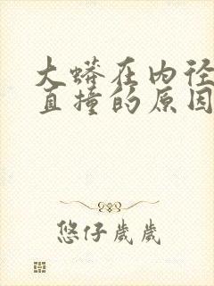 大蟒在内径横冲直撞的原因