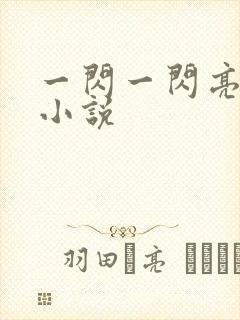 一闪一闪亮星星小说