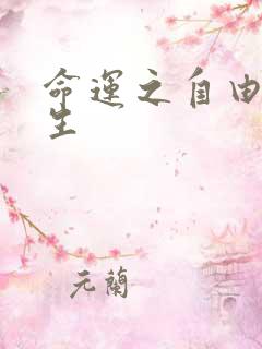 命运之自由的新生