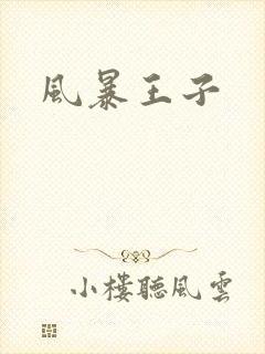 风暴王子