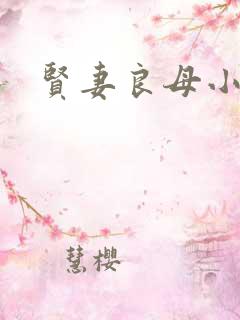 贤妻良母小说