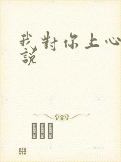 我对你上心了小说