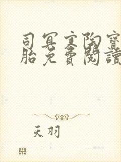 司冥寒陶宝六胞胎免费阅读笔趣阁