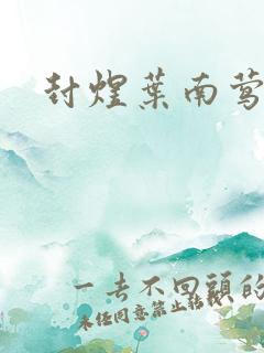 封煜叶南莺小说