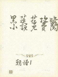 黑莲花攻略手册小说免费阅读全文