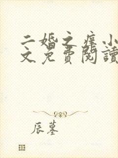 二婚之痒小说全文免费阅读