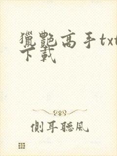 猎艳高手txt下载