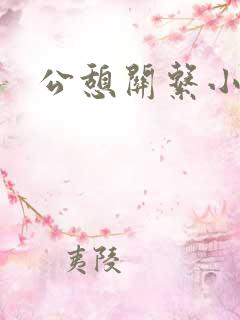 公憩关系小说