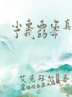 小东西你真能要了我的命