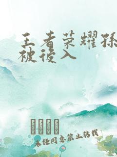 王者荣耀孙尚香被后入