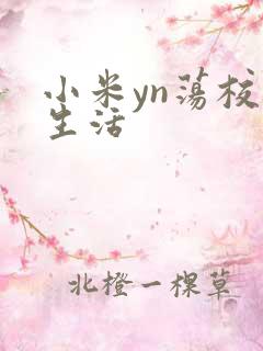 小米yn荡校园生活