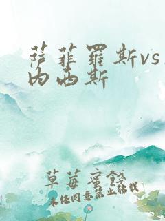 萨菲罗斯vs杰内西斯