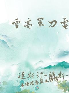 雪亮军刀电视剧