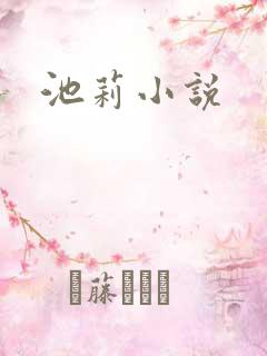 池莉小说