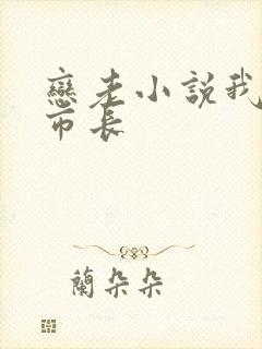 恋老小说我和老市长