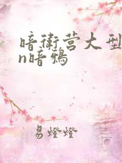 暗卫营大型hpn暗鸦