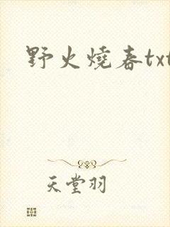 野火烧春txt