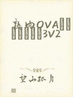 熟肉OVAちゃんはしたい3V2