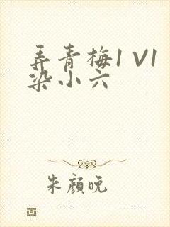 弄青梅1 V1染小六