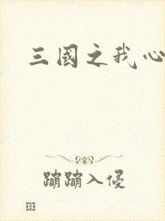 三国之我心狂想