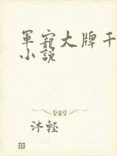 军宠大牌千金 小说