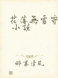 花落无处寄相思 小说