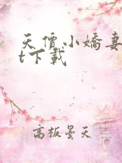 天价小娇妻txt下载