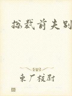 总裁前夫别耍酷