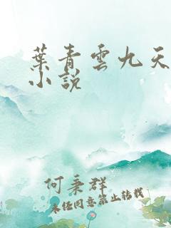 叶青云九天玄宗小说