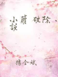 小萝 破除 小说