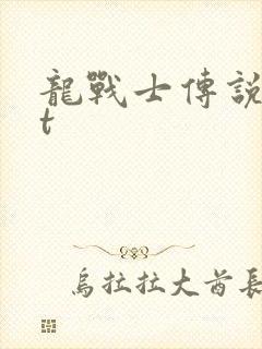 龙战士传说txt