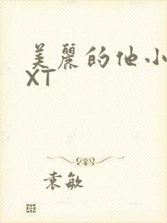 美丽的他小说TXT