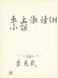 车上激情(H)小说