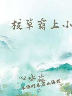 校草霸上小丫头