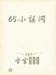 65小说网