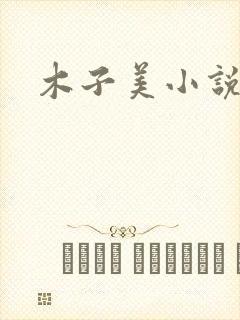 木子美小说