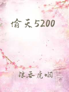 偷天5200