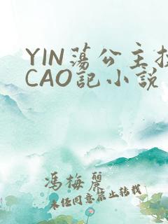 YIN荡公主挨CAO记小说