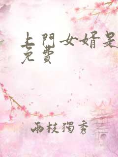 上门女婿是锦鲤免费