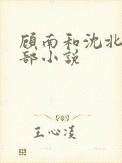 顾南和沈北是哪部小说