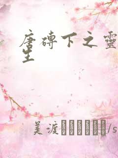 唐砖下之灵域双生