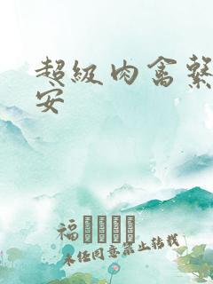 超级肉禽系统保安