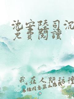 沈安陆司沉小说免费阅读